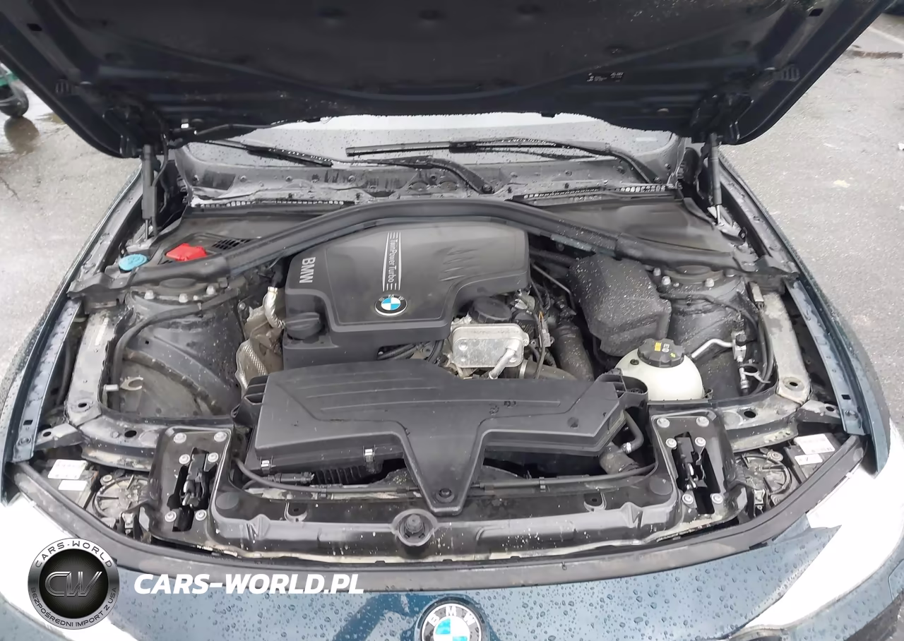 2016 BMW 428I xDrive VIN:WBA3N9C56GK250834 - 10