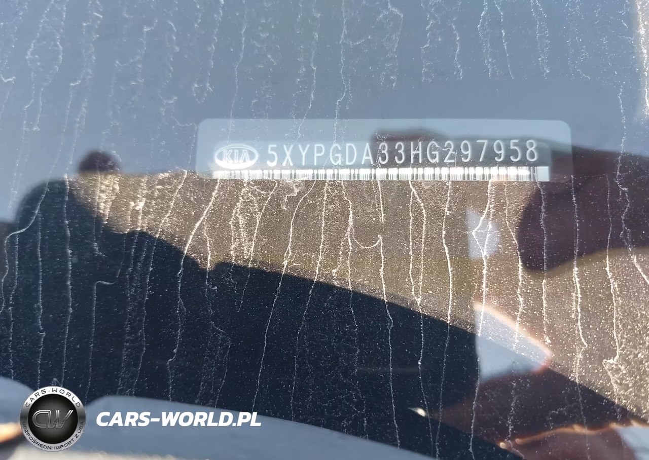 2017 Kia Sorento 2.4L Lx VIN:5XYPGDA33HG297958 - 9