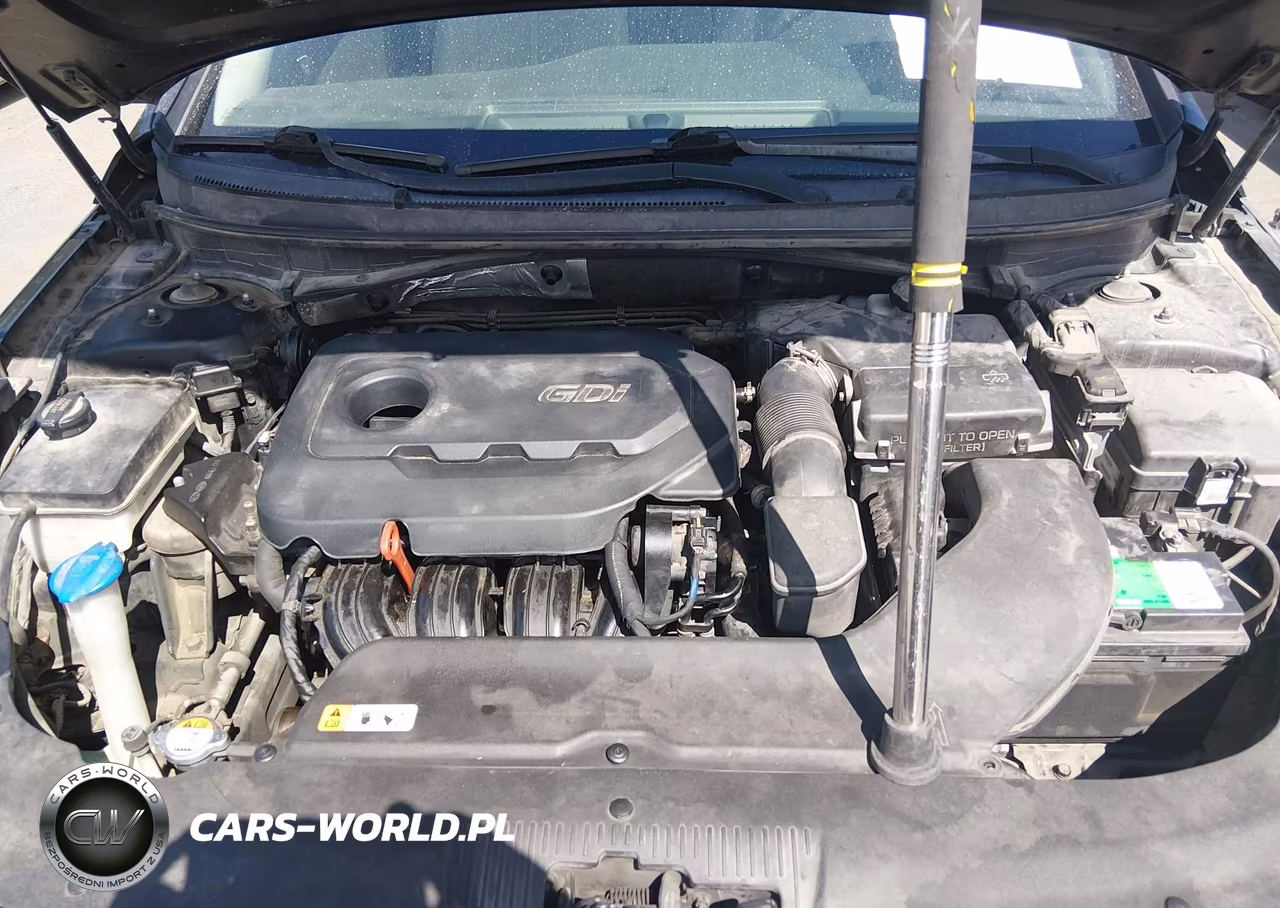 2016 Hyundai Sonata VIN:5NPE24AF0GH418579 - 10