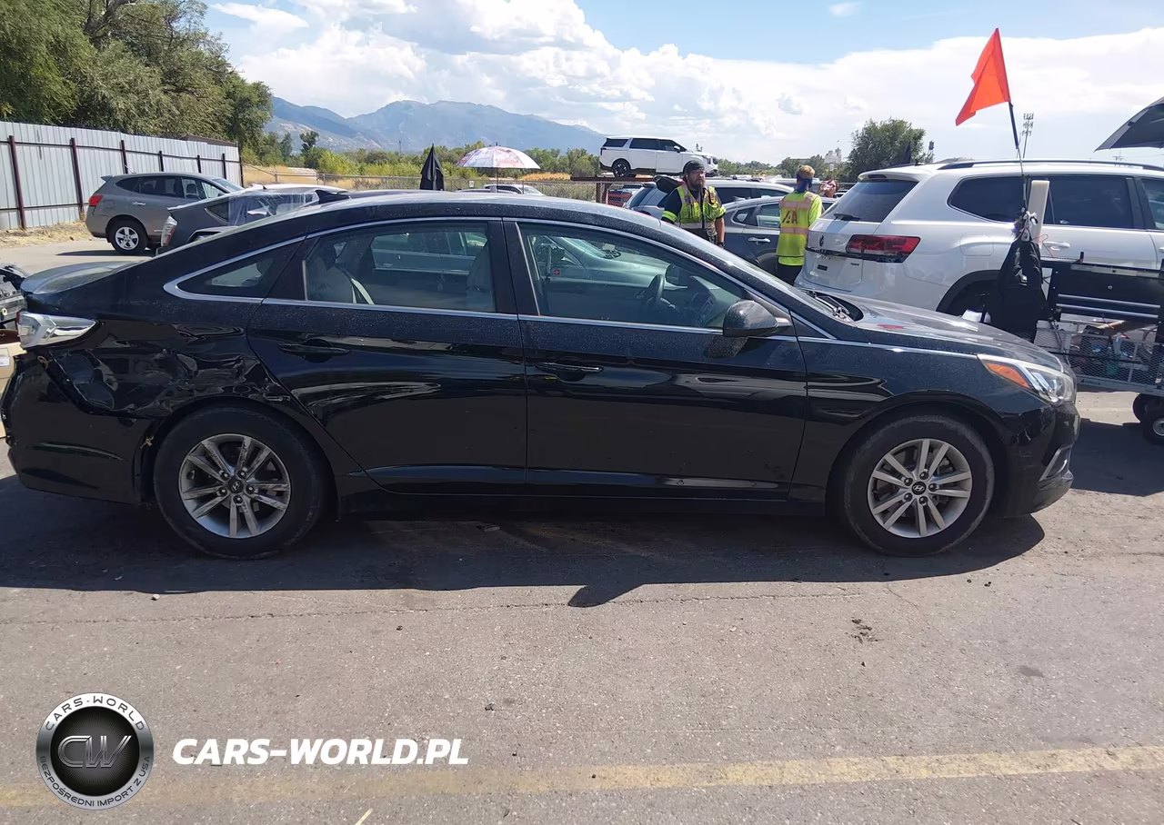 2016 Hyundai Sonata VIN:5NPE24AF0GH418579 - 13