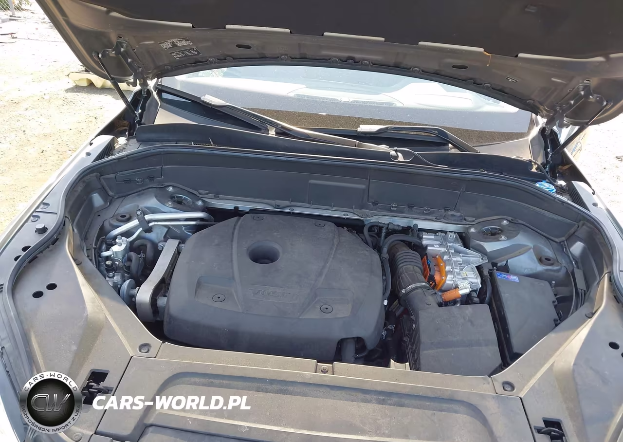 2018 Volvo Xc90 Hybrid T8 Inscription VIN:YV4BR0PL5J1335181 - 10