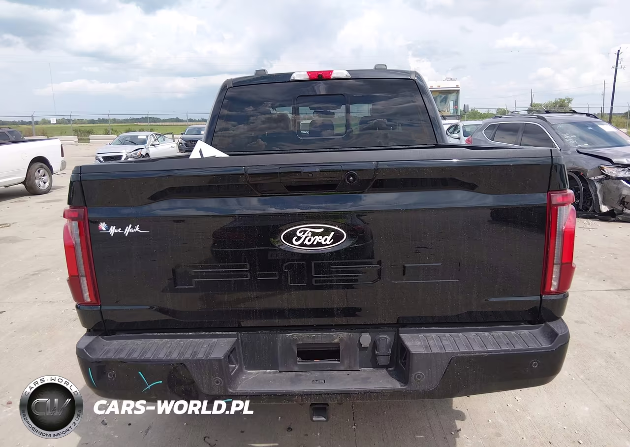 2024 Ford F-150 Platinum VIN:1FTFW7L81RFA11313 - 16