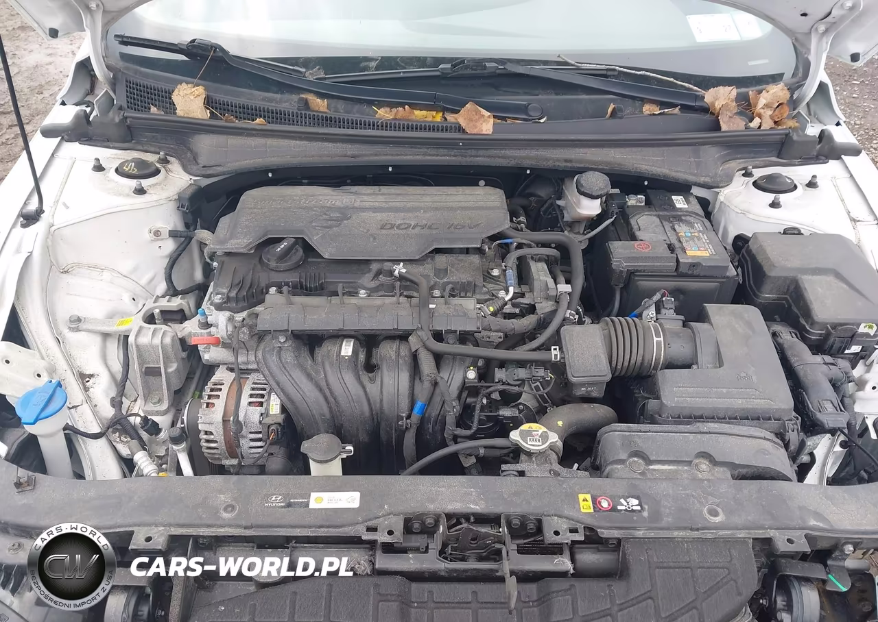 2024 Hyundai Elantra Sel VIN:KMHLM4DG6RU756840 - 10