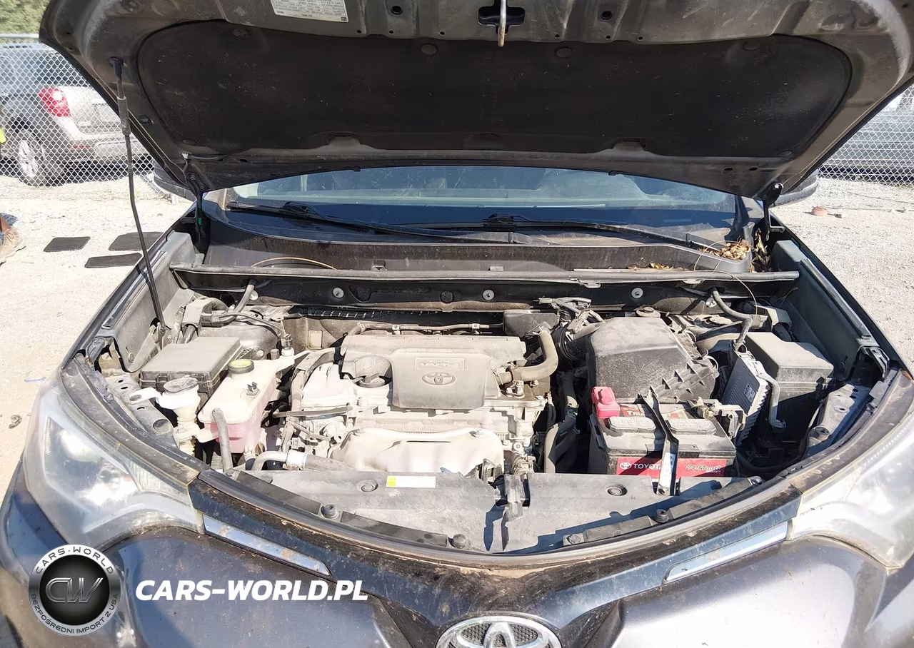 2016 Toyota Rav4 Xle VIN:2T3WFREV4GW273403 - 10