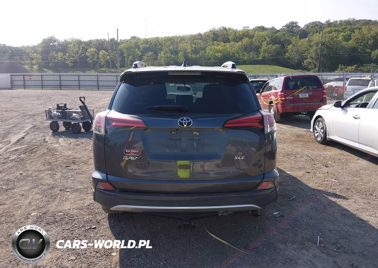 2016 Toyota Rav4 Xle VIN:2T3WFREV4GW273403 - 16