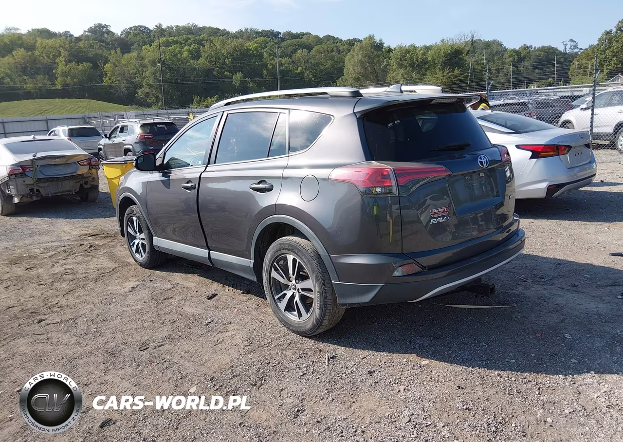 2016 Toyota Rav4 Xle VIN:2T3WFREV4GW273403 - 3