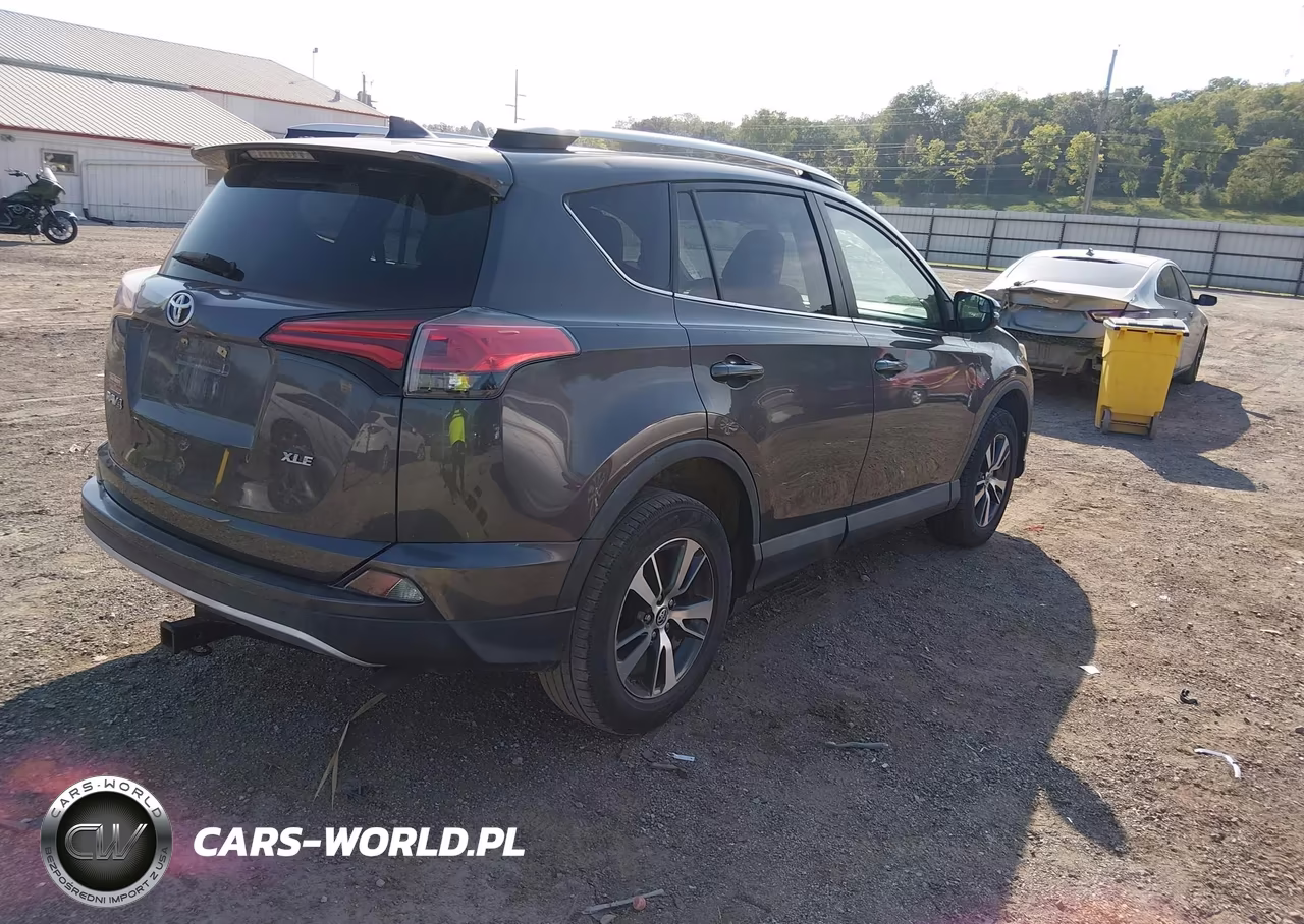 2016 Toyota Rav4 Xle VIN:2T3WFREV4GW273403 - 4