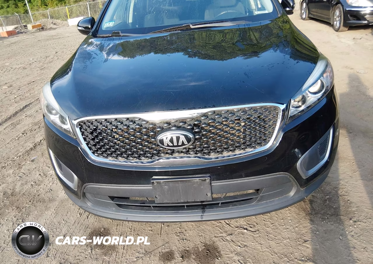 2017 Kia Sorento 3.3L Lx VIN:5XYPGDA54HG234076 - 12