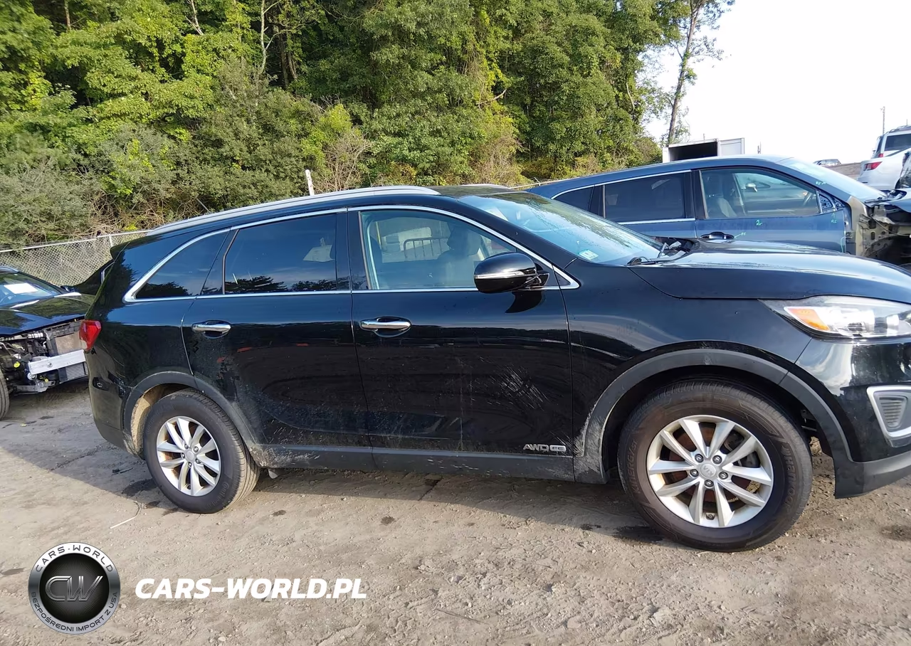 2017 Kia Sorento 3.3L Lx VIN:5XYPGDA54HG234076 - 13