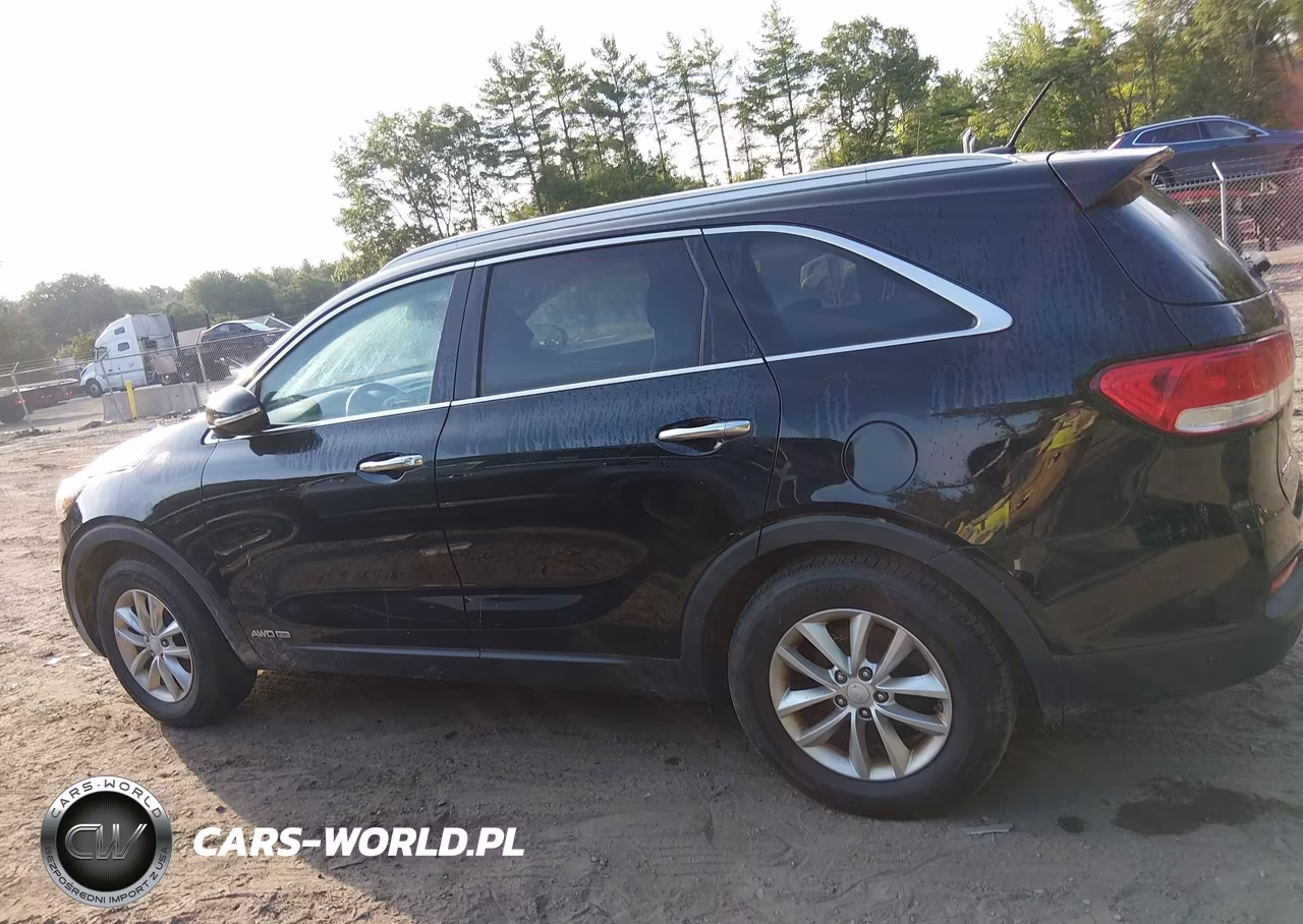 2017 Kia Sorento 3.3L Lx VIN:5XYPGDA54HG234076 - 14