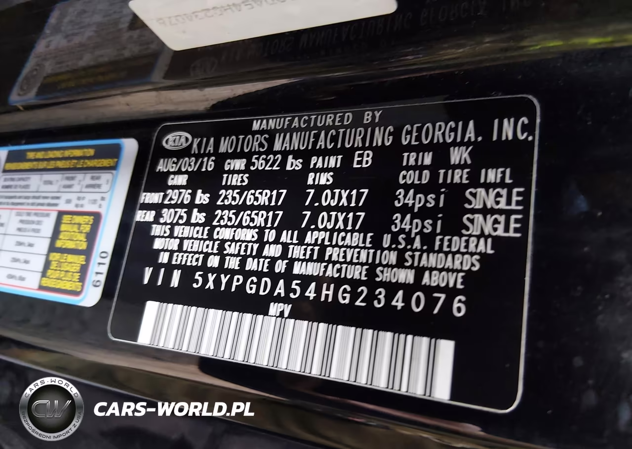 2017 Kia Sorento 3.3L Lx VIN:5XYPGDA54HG234076 - 9