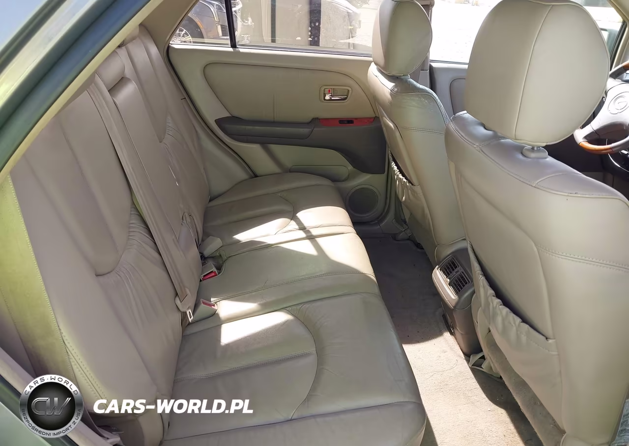2002 Lexus Rx 300 VIN:JTJHF10U520276085 - 8
