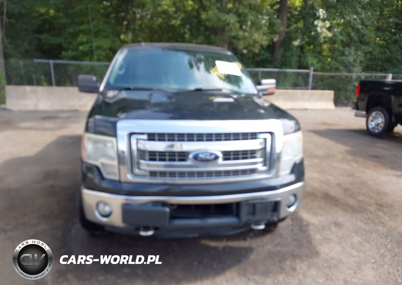 2014 Ford F-150 Xlt VIN:1FTFW1ET9EFB67625 - 12