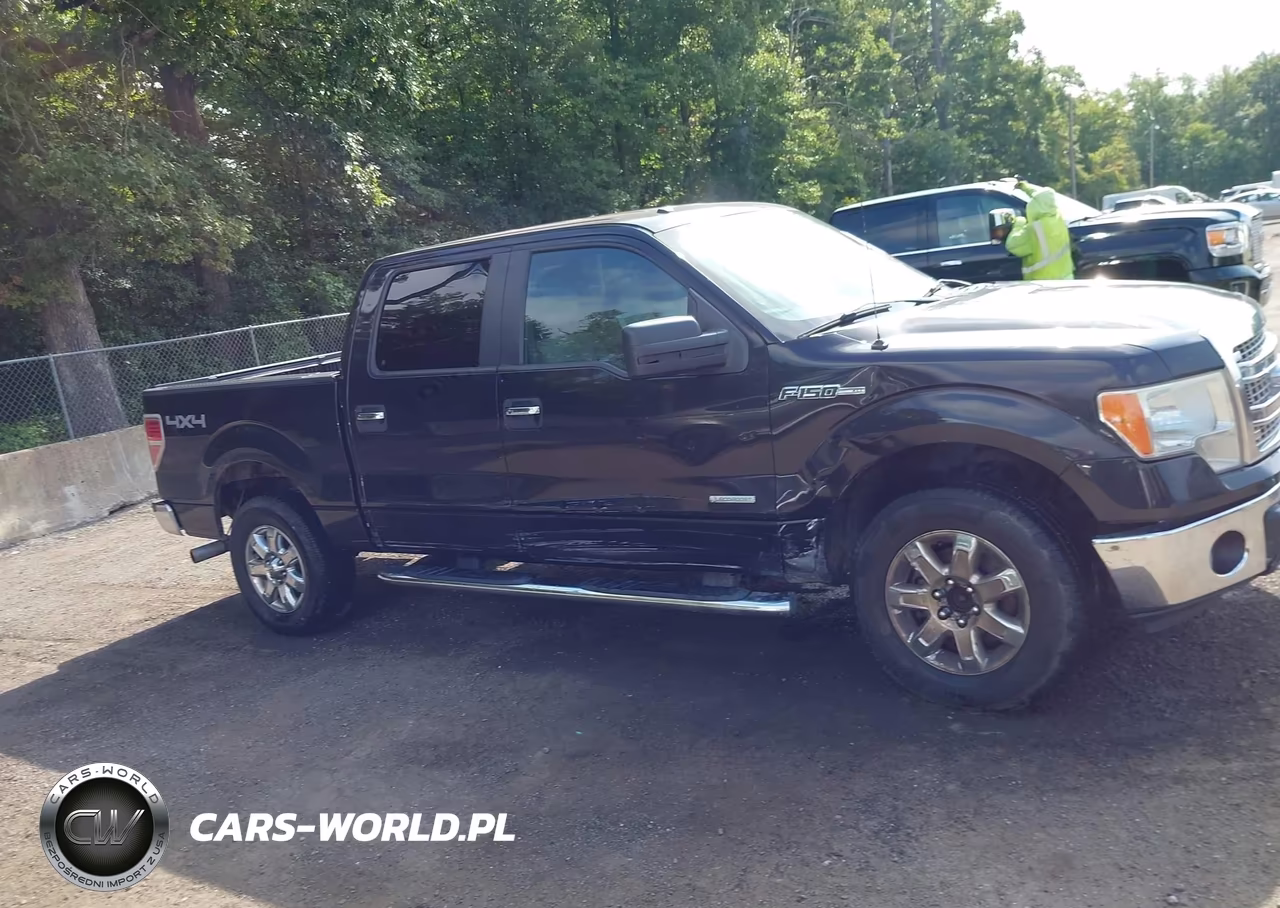 2014 Ford F-150 Xlt VIN:1FTFW1ET9EFB67625 - 13