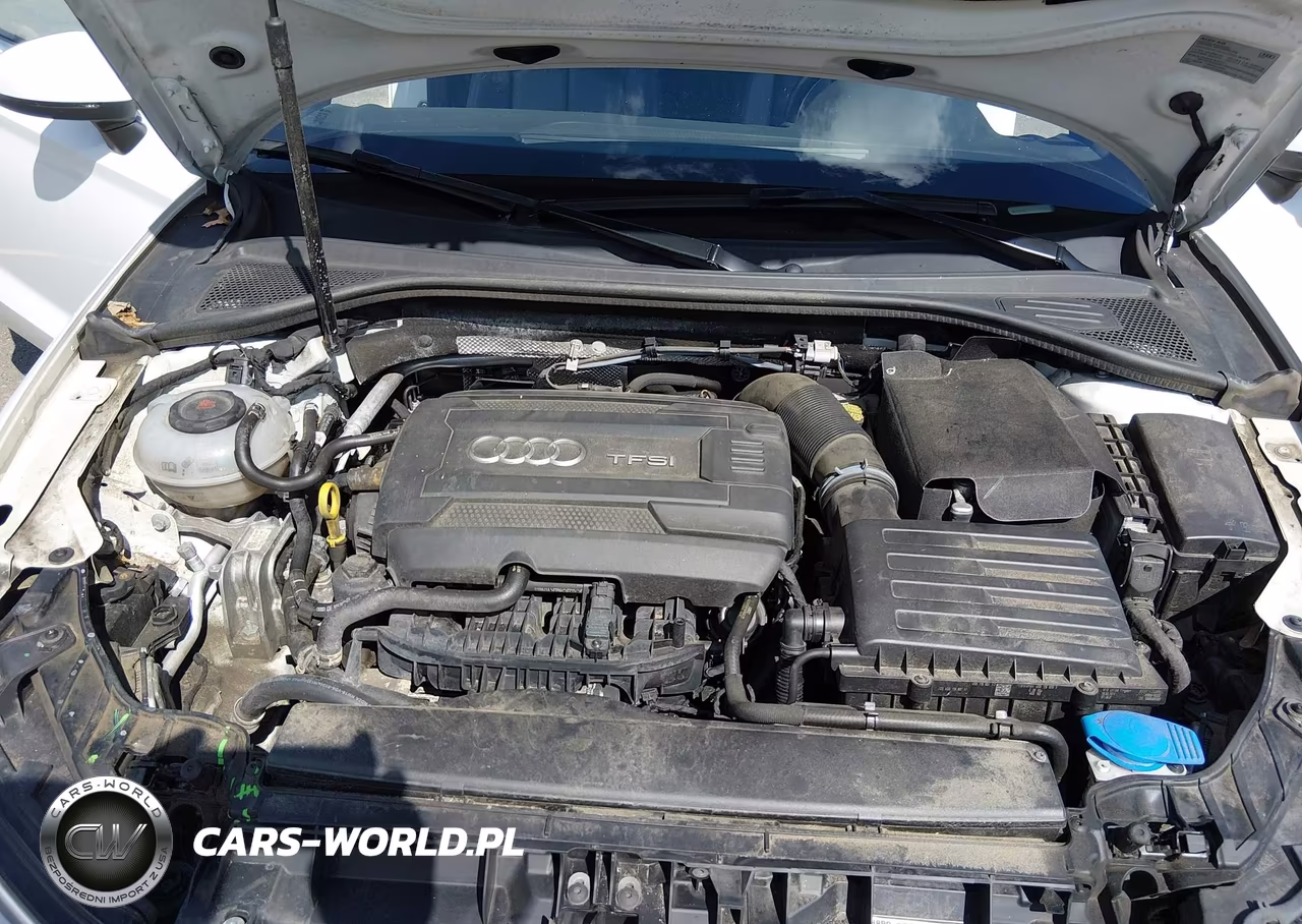 2018 Audi A3 2.0T Premium-2.0T Tech Premium VIN:WAUY8LFF1J1011302 - 10