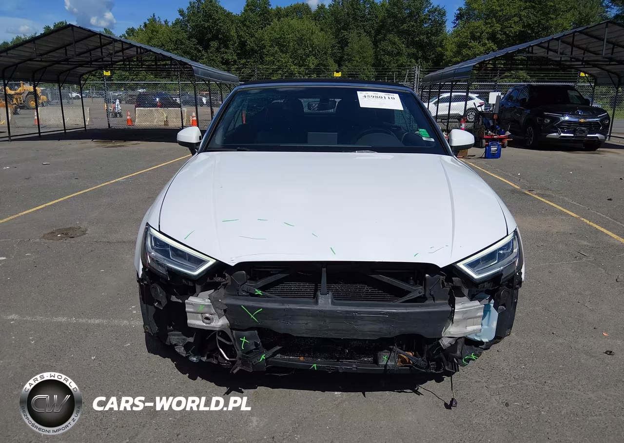 2018 Audi A3 2.0T Premium-2.0T Tech Premium VIN:WAUY8LFF1J1011302 - 12
