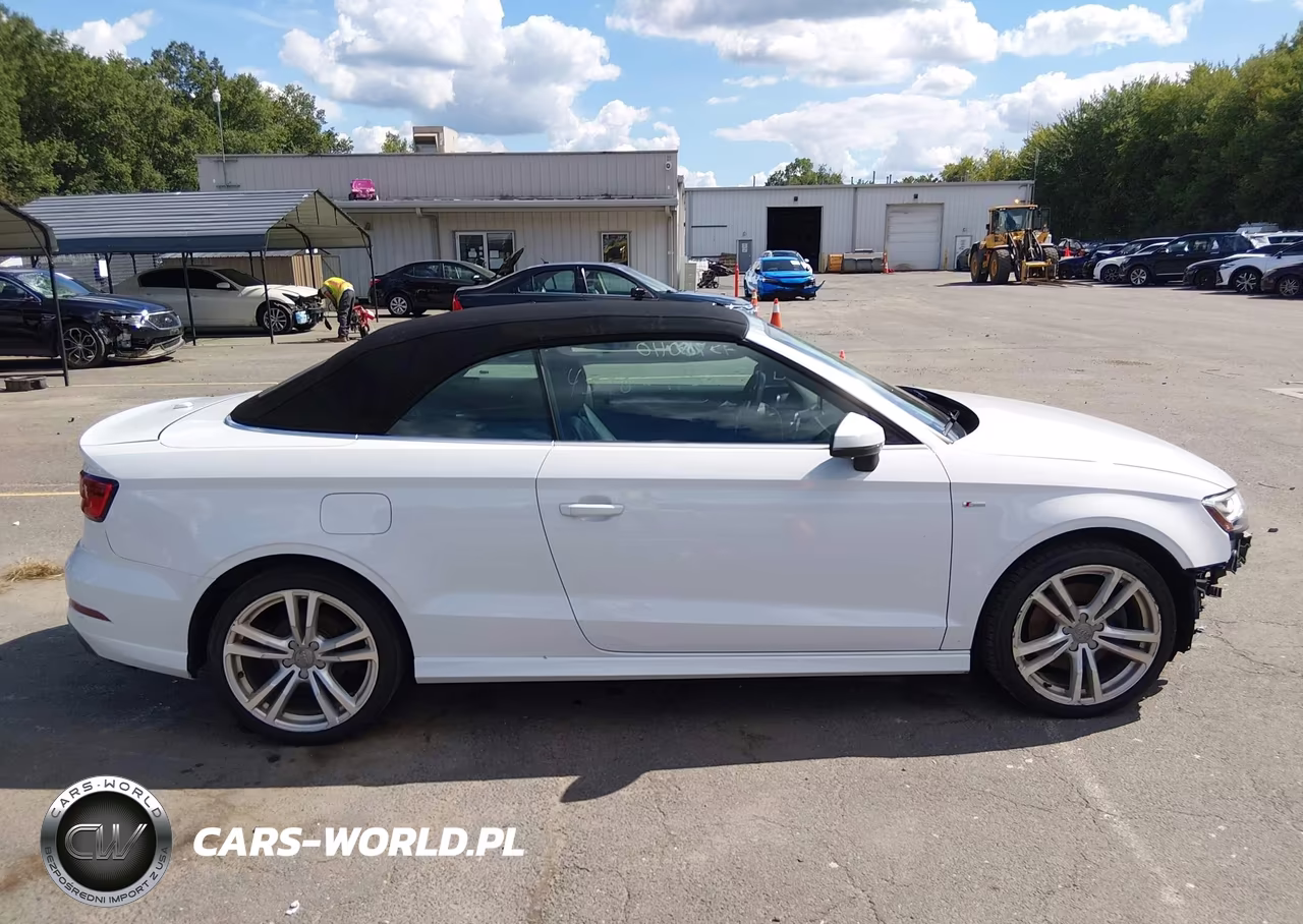 2018 Audi A3 2.0T Premium-2.0T Tech Premium VIN:WAUY8LFF1J1011302 - 13
