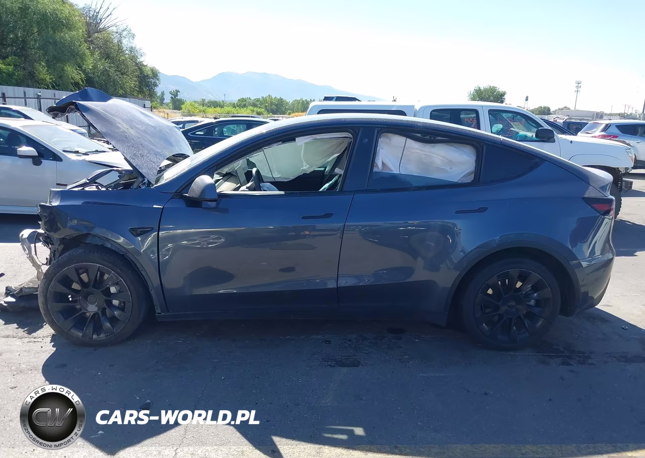 2021 Tesla Model Y Long Range Dual Motor All-Wheel Drive VIN:5YJYGAEE9MF214078 - 12