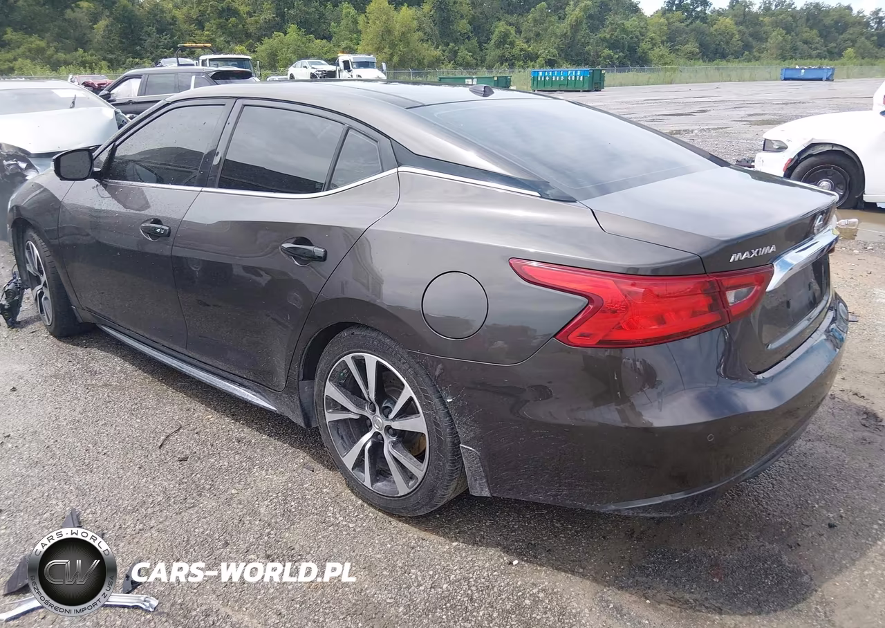 2016 Nissan Maxima 3.5 Platinum VIN:1N4AA6AP3GC906948 - 3
