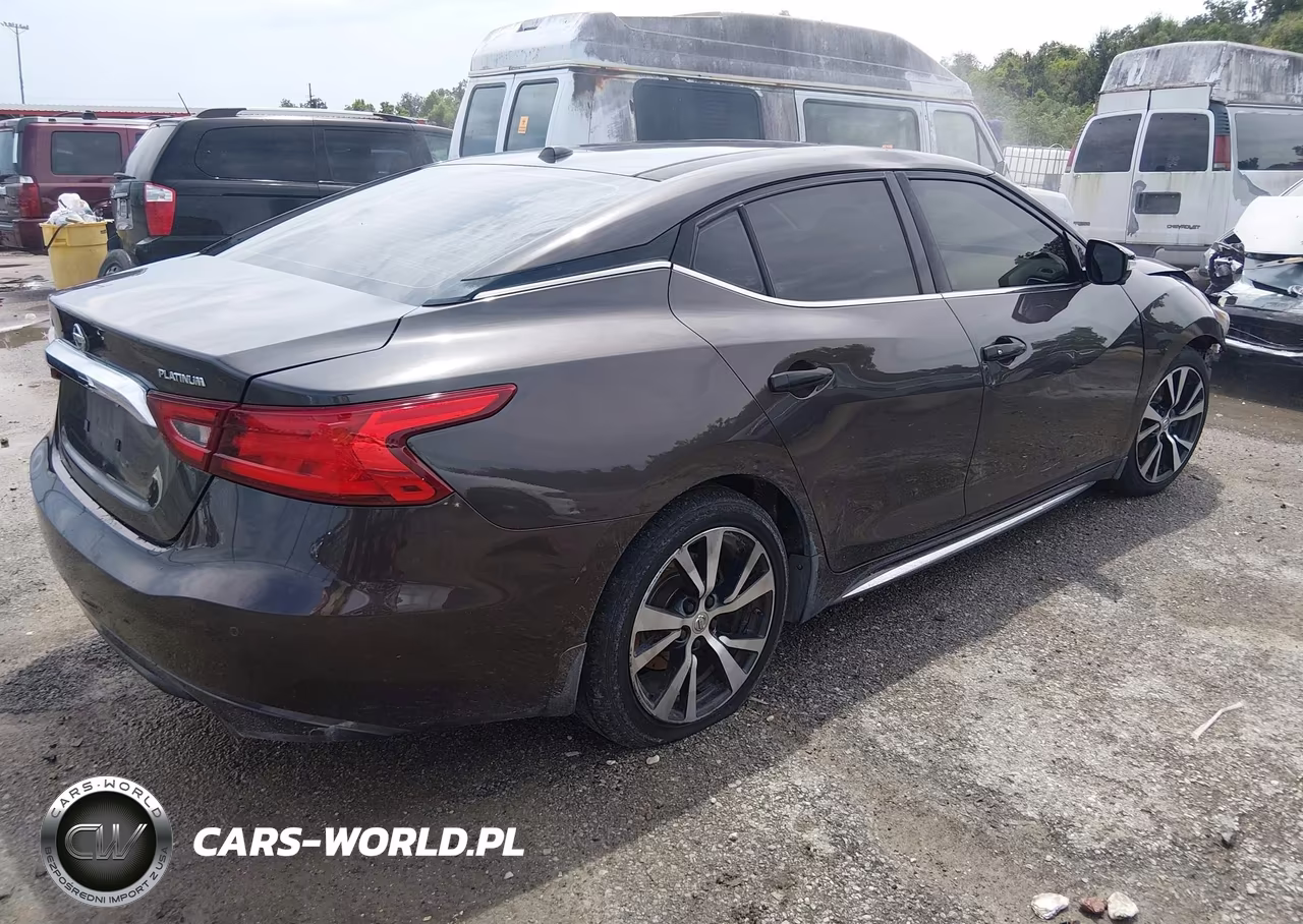 2016 Nissan Maxima 3.5 Platinum VIN:1N4AA6AP3GC906948 - 4