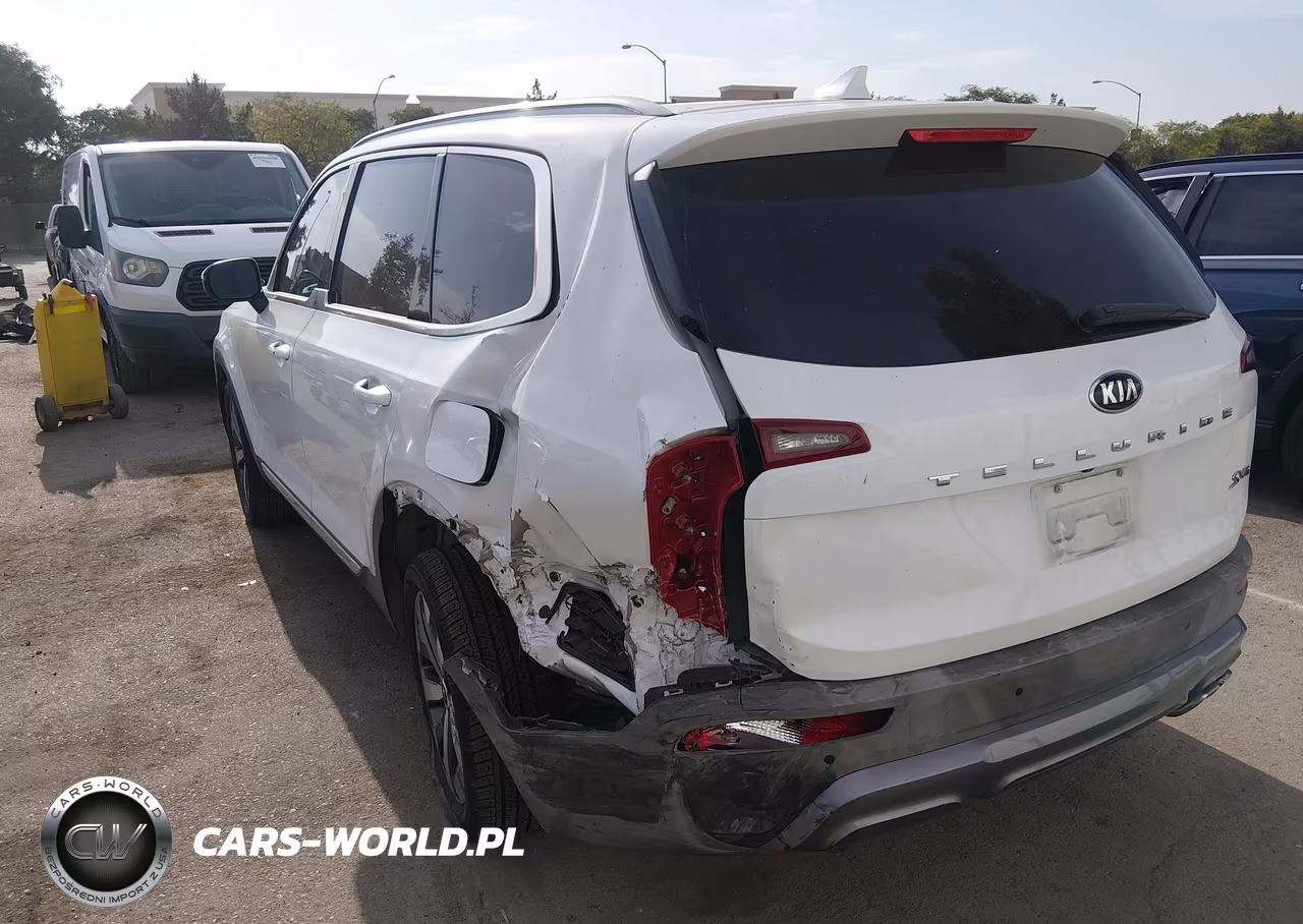 2020 Kia Telluride S VIN:5XYP64HC6LG006161 - 12