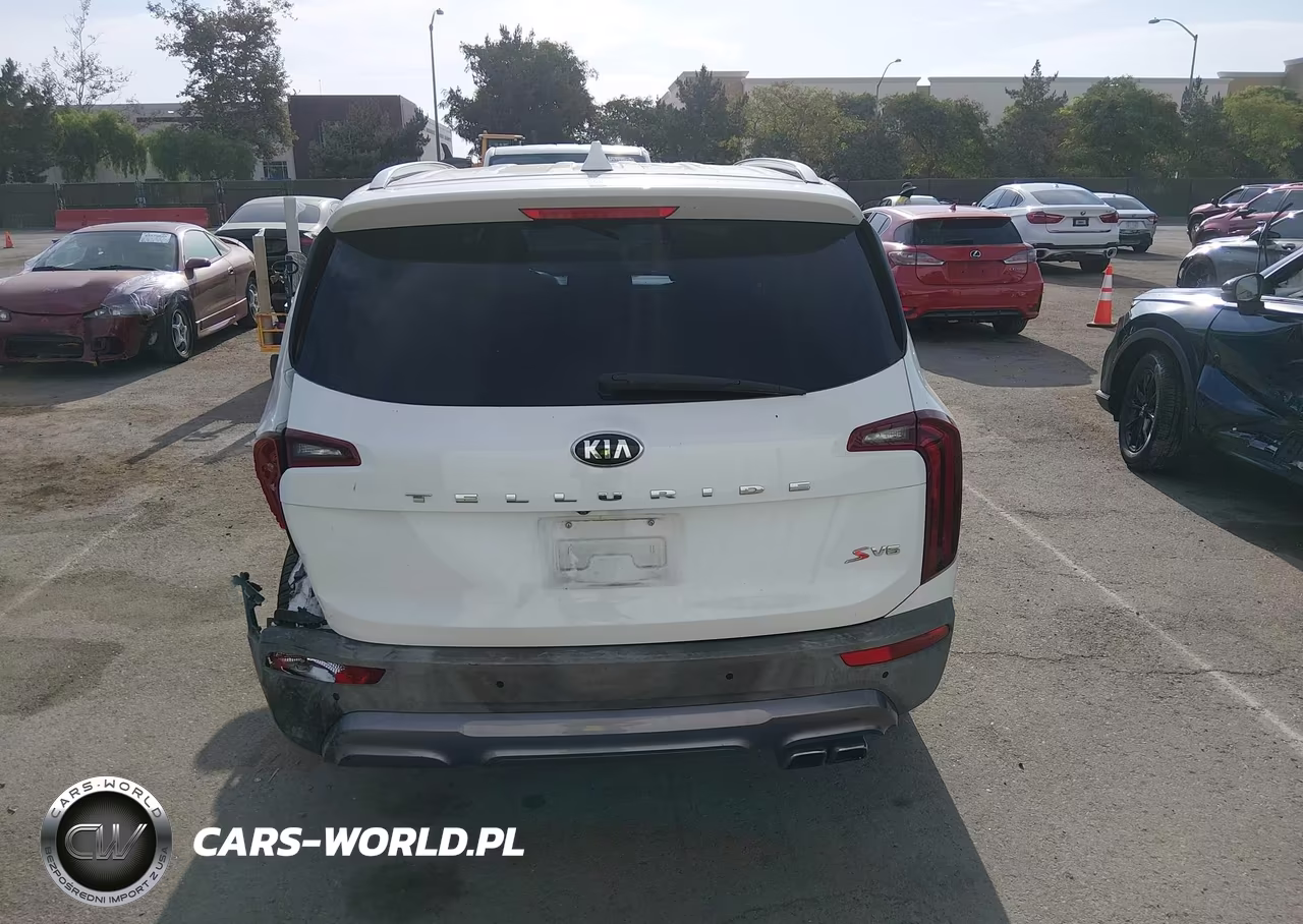 2020 Kia Telluride S VIN:5XYP64HC6LG006161 - 17
