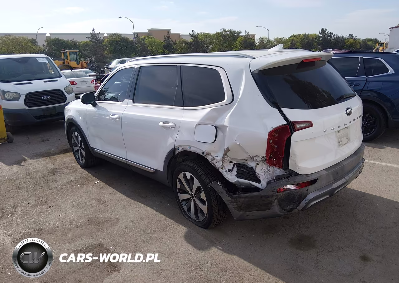 2020 Kia Telluride S VIN:5XYP64HC6LG006161 - 3