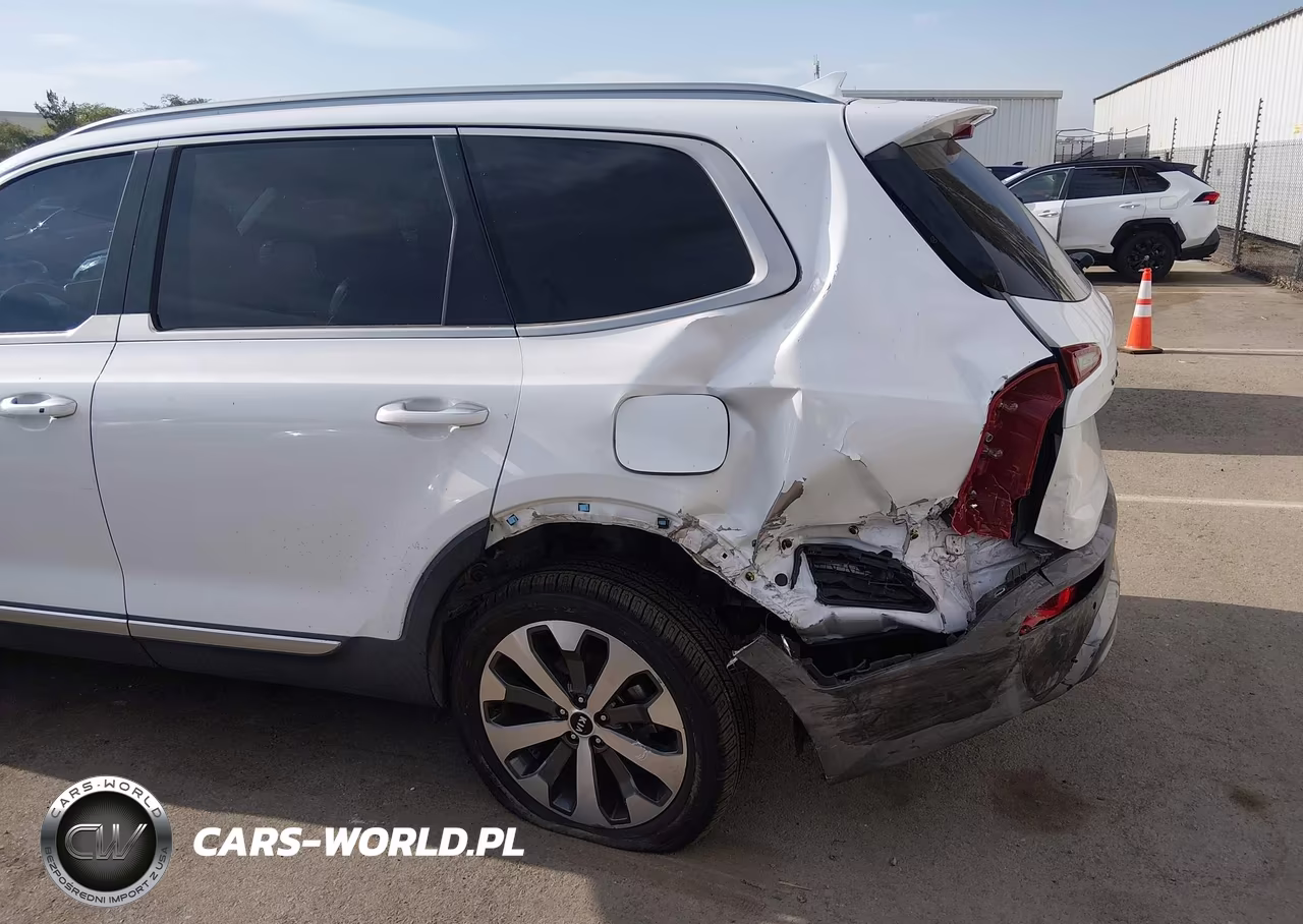 2020 Kia Telluride S VIN:5XYP64HC6LG006161 - 6