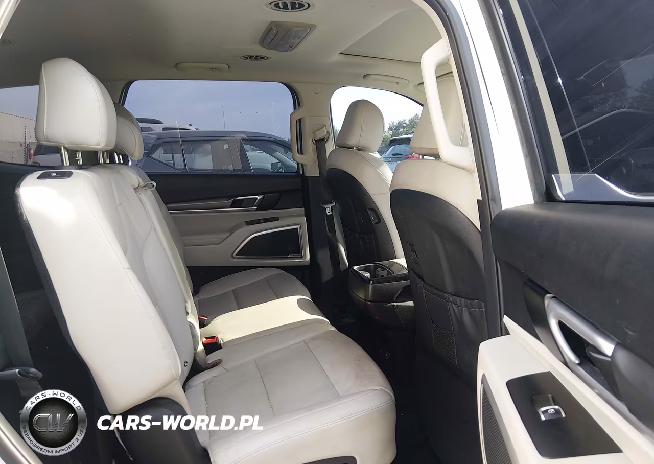 2020 Kia Telluride S VIN:5XYP64HC6LG006161 - 8