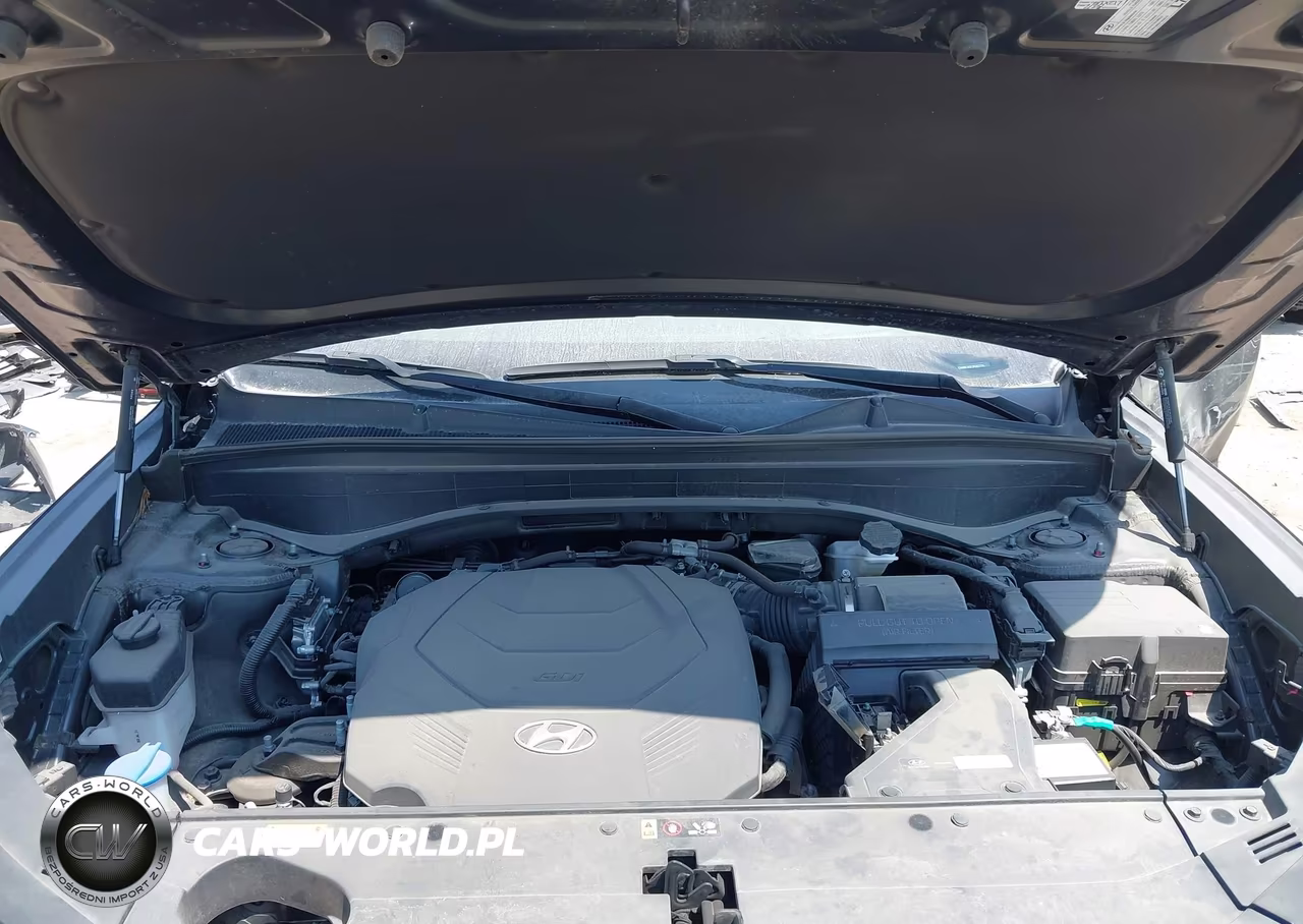 2023 Hyundai Palisade Calligraphy VIN:KM8R74GE3PU632226 - 10
