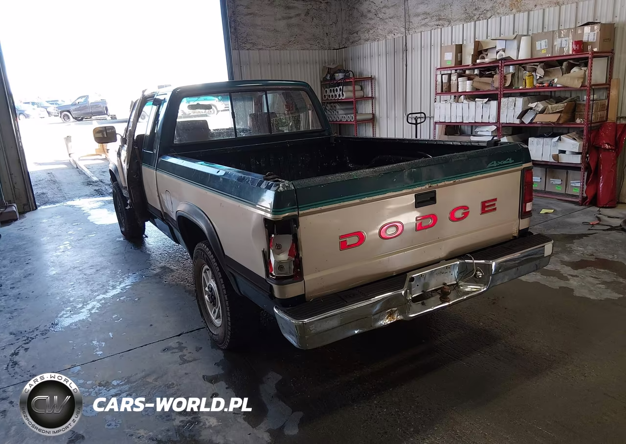 1993 Dodge Dakota VIN:1B7GG23Y6PS146280 - 3