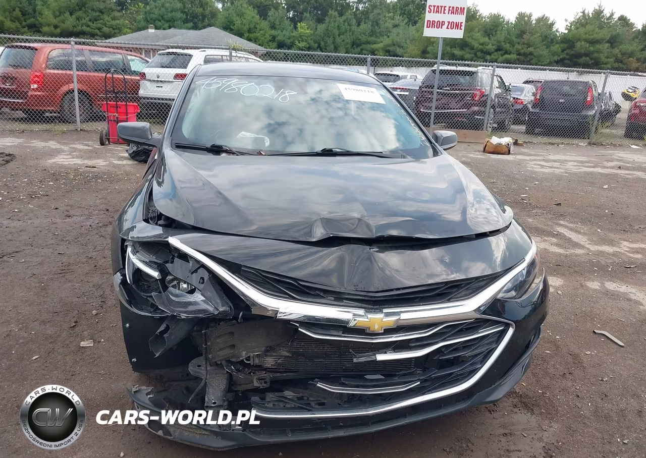 2023 Chevrolet Malibu Fwd 1Lt VIN:1G1ZD5ST9PF220155 - 12