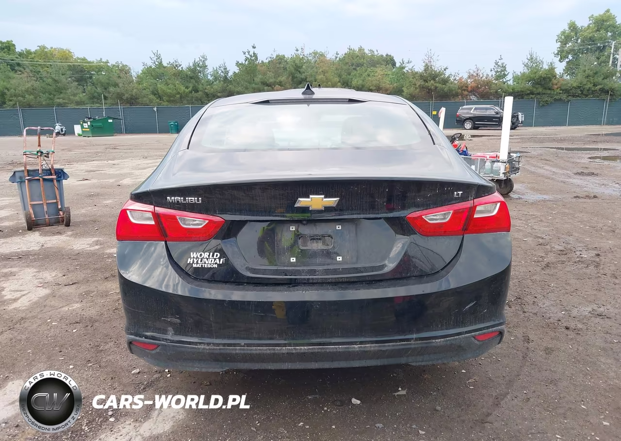 2023 Chevrolet Malibu Fwd 1Lt VIN:1G1ZD5ST9PF220155 - 16