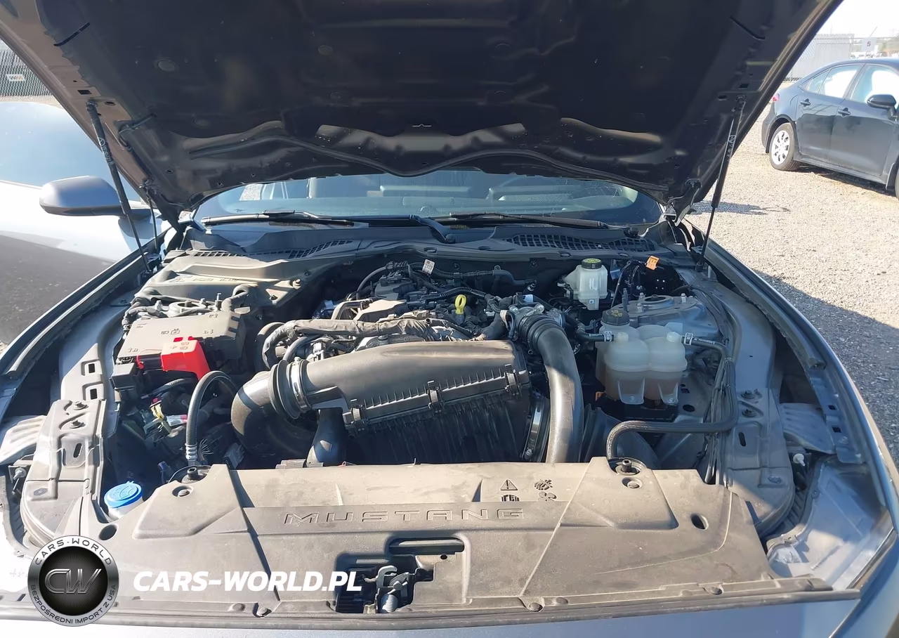2024 Ford Mustang Ecoboost Fastback VIN:1FA6P8TH3R5107345 - 10