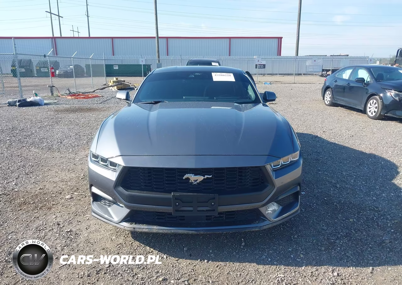 2024 Ford Mustang Ecoboost Fastback VIN:1FA6P8TH3R5107345 - 13