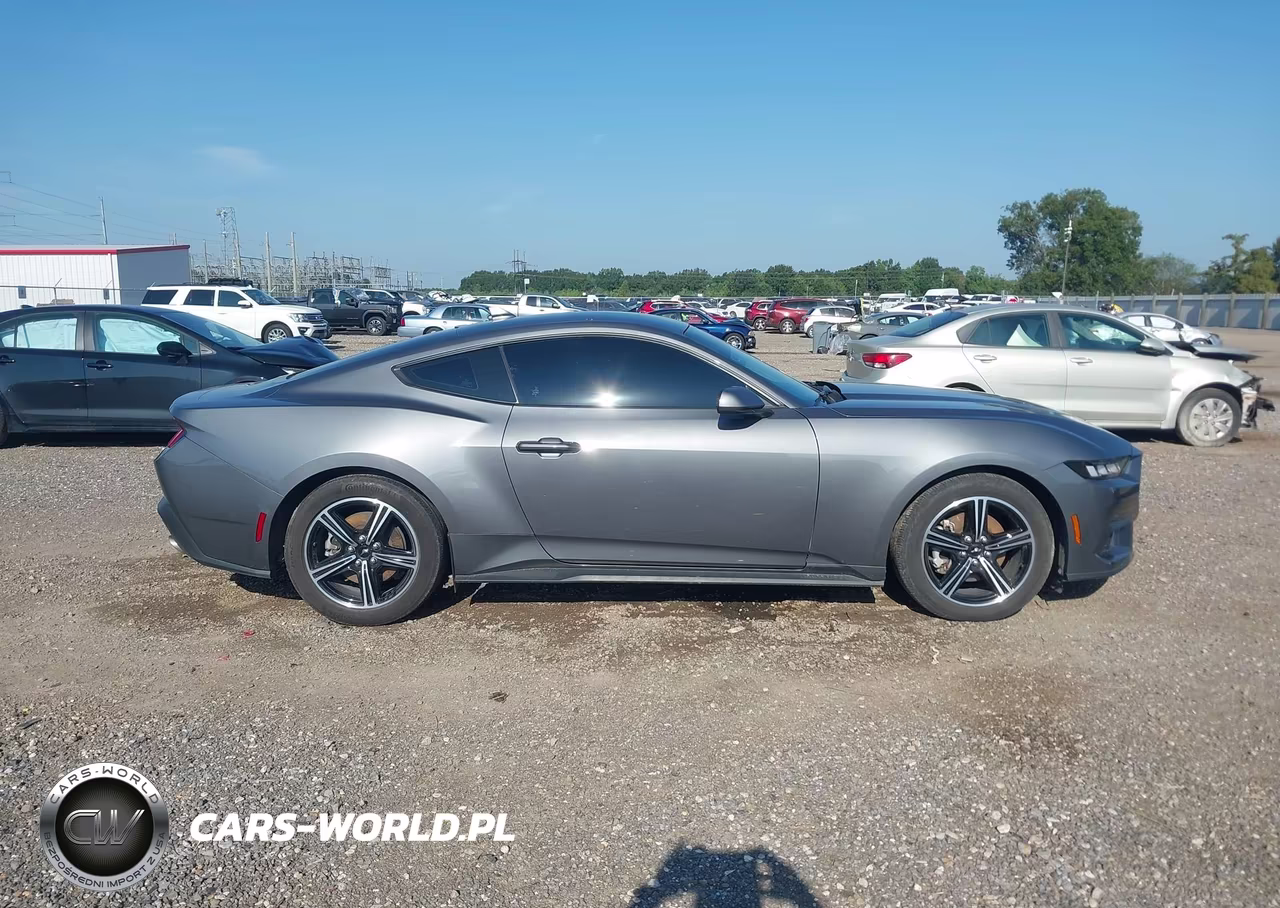 2024 Ford Mustang Ecoboost Fastback VIN:1FA6P8TH3R5107345 - 14