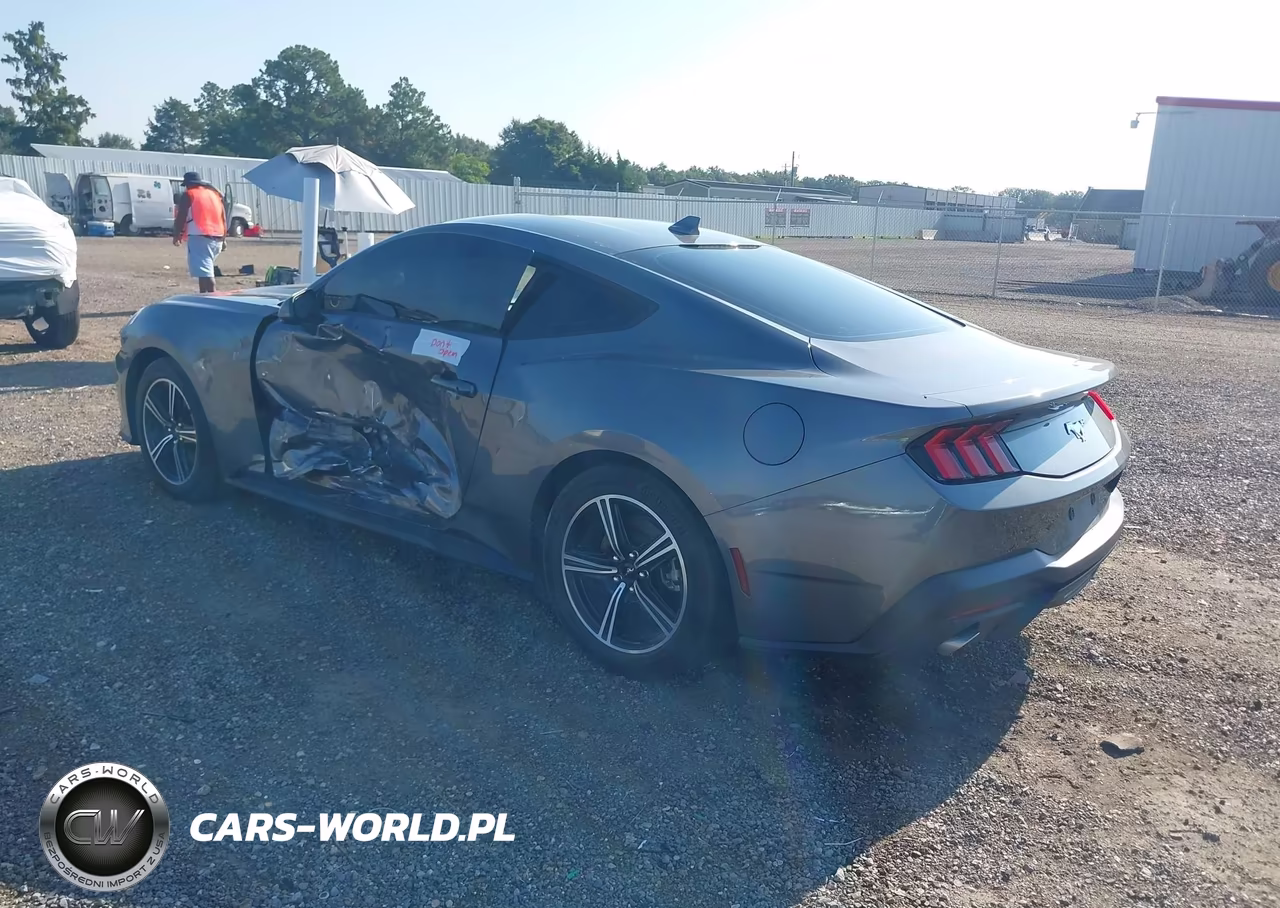 2024 Ford Mustang Ecoboost Fastback VIN:1FA6P8TH3R5107345 - 3