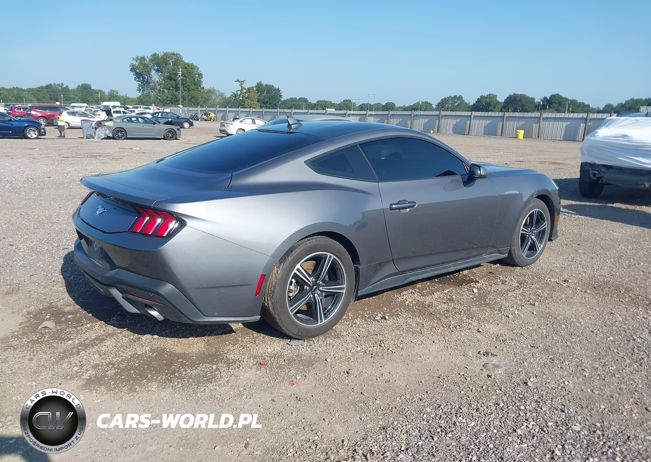 2024 Ford Mustang Ecoboost Fastback VIN:1FA6P8TH3R5107345 - 4