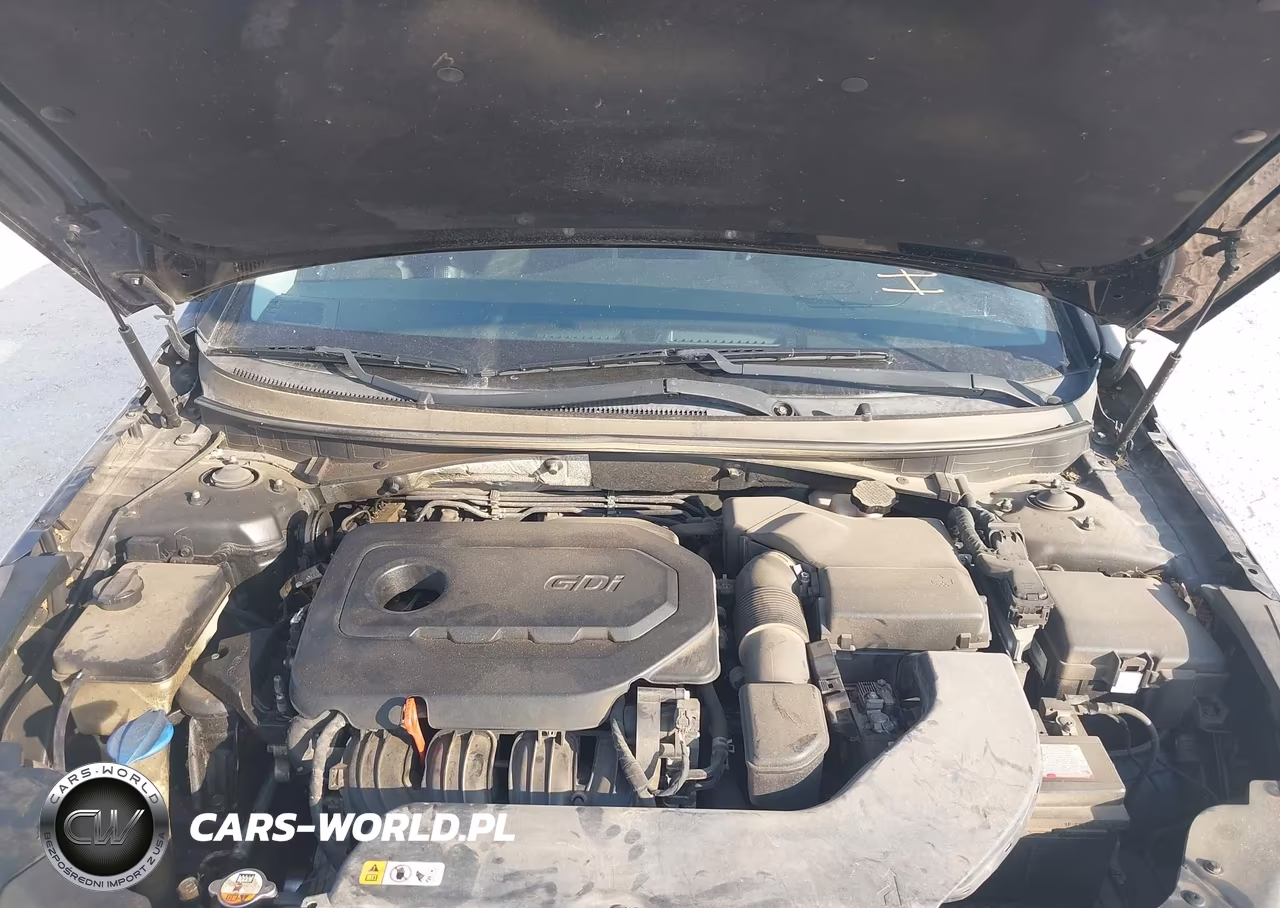 2015 Hyundai Sonata Sport VIN:5NPE34AF0FH046284 - 10
