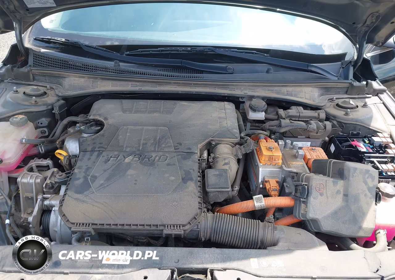2021 Hyundai Elantra Hybrid Limited VIN:KMHLN4AJXMU007111 - 10