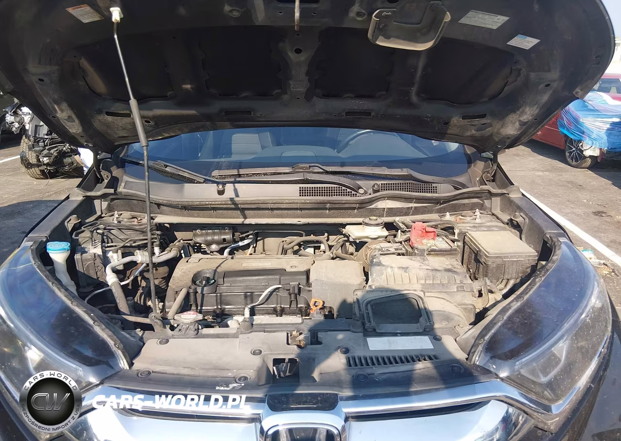 2017 Honda Cr-V Lx VIN:5J6RW6H34HL004001 - 10