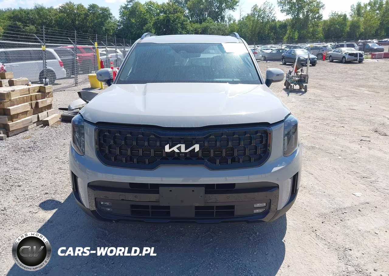 2024 Kia Telluride Sx Prestige X-Pro VIN:5XYP5DGC9RG435811 - 13