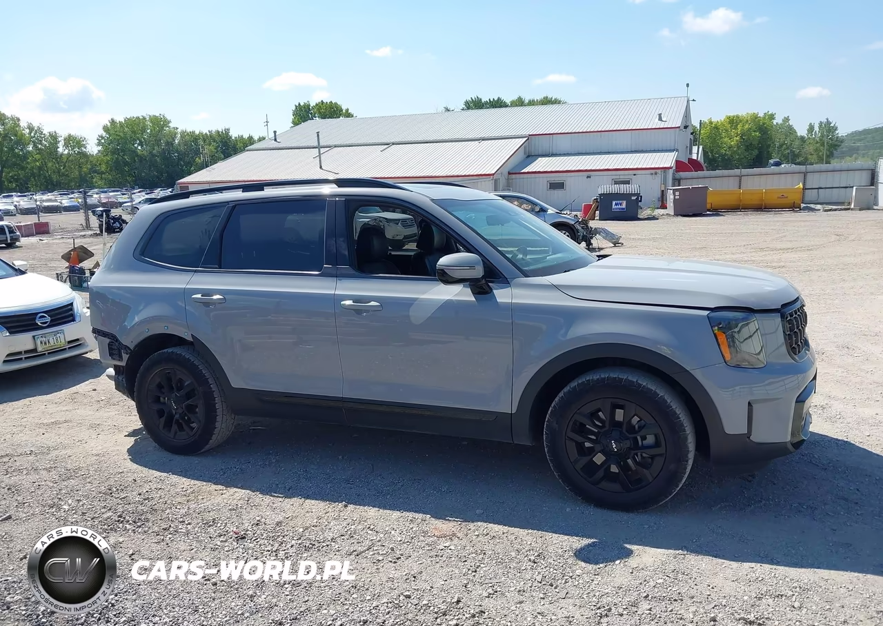 2024 Kia Telluride Sx Prestige X-Pro VIN:5XYP5DGC9RG435811 - 14