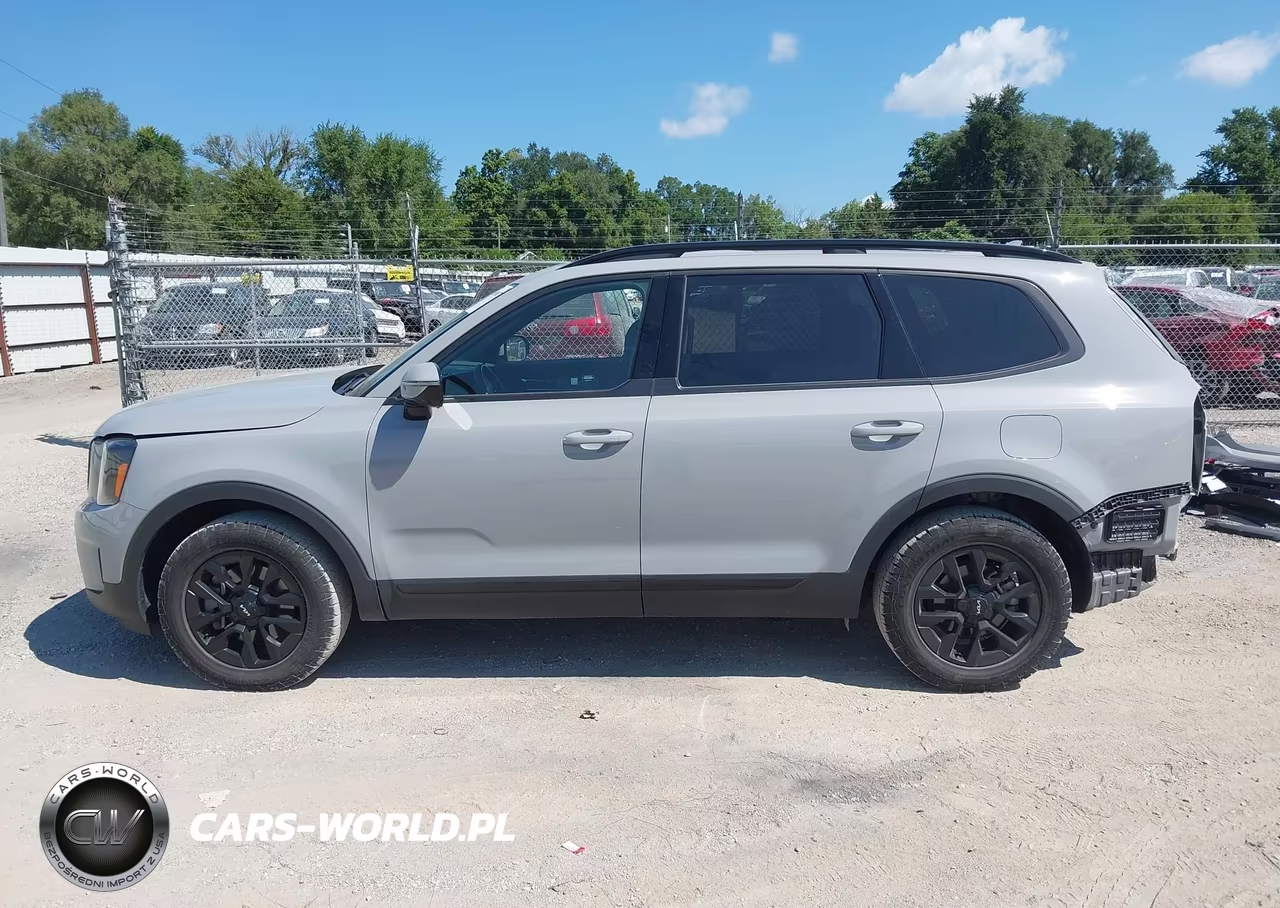 2024 Kia Telluride Sx Prestige X-Pro VIN:5XYP5DGC9RG435811 - 15