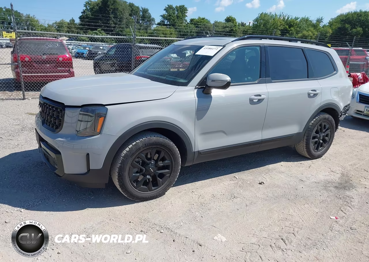2024 Kia Telluride Sx Prestige X-Pro VIN:5XYP5DGC9RG435811 - 2