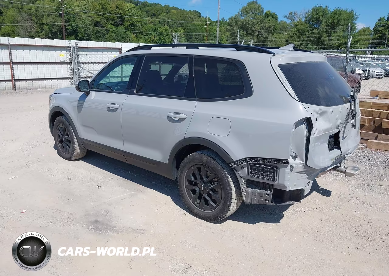 2024 Kia Telluride Sx Prestige X-Pro VIN:5XYP5DGC9RG435811 - 3