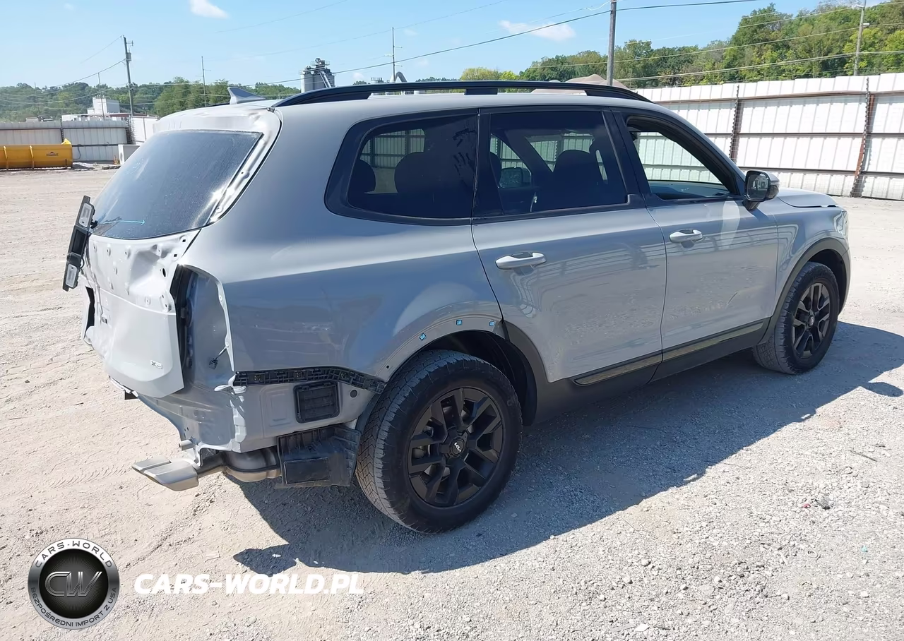 2024 Kia Telluride Sx Prestige X-Pro VIN:5XYP5DGC9RG435811 - 4