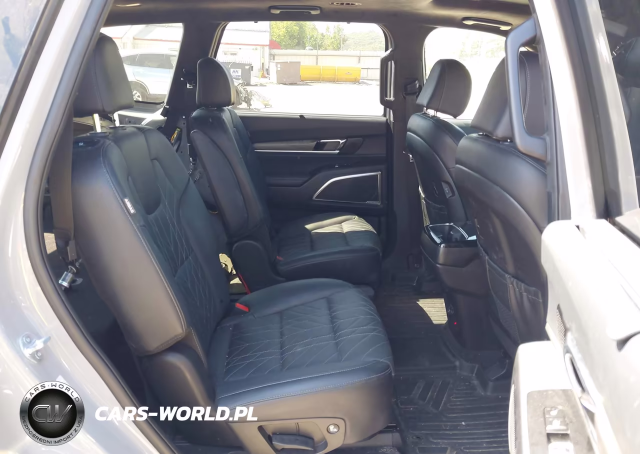 2024 Kia Telluride Sx Prestige X-Pro VIN:5XYP5DGC9RG435811 - 8