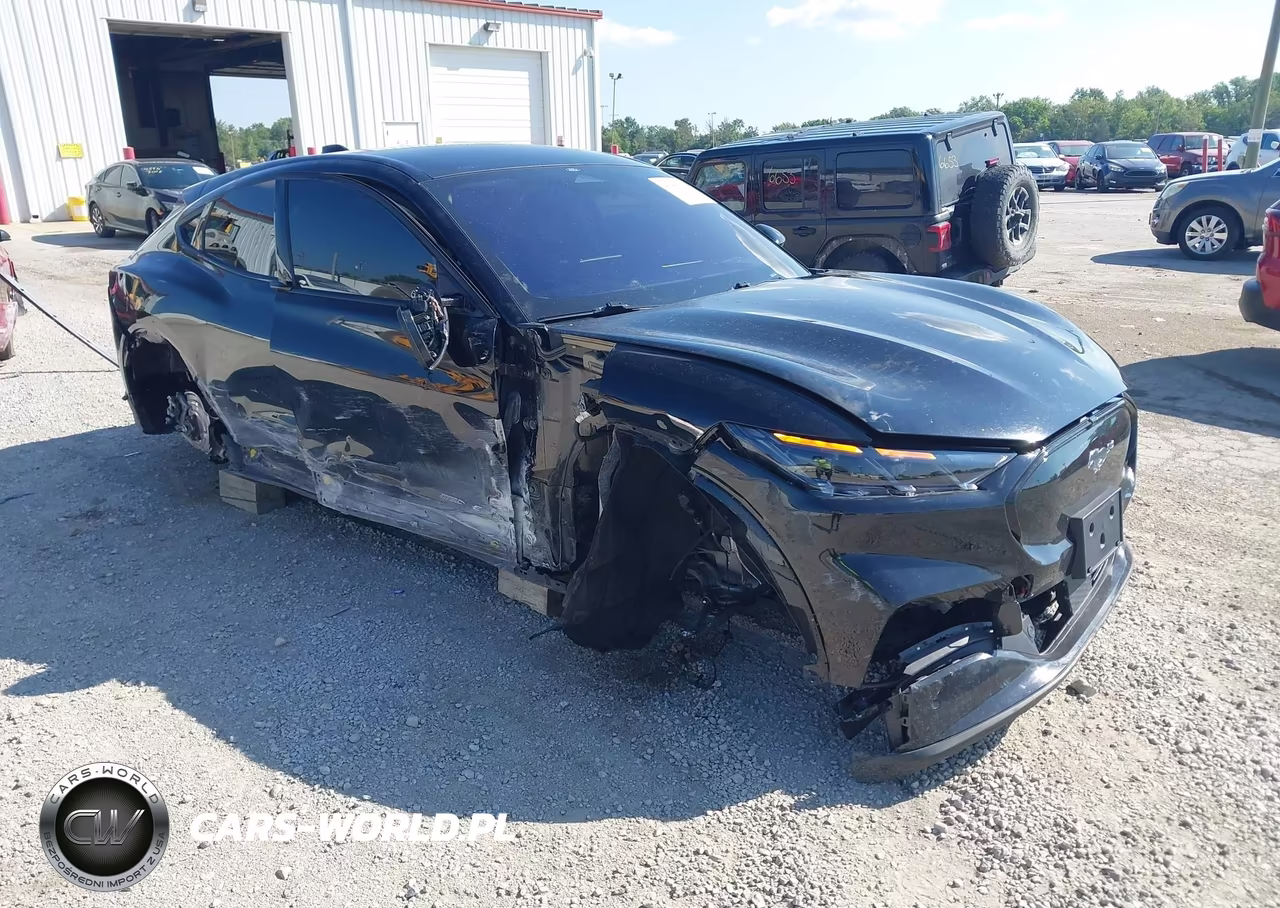 2025 Ford Mustang Mach-E Premium VIN:3FMTK3R70SMA10290 - 1