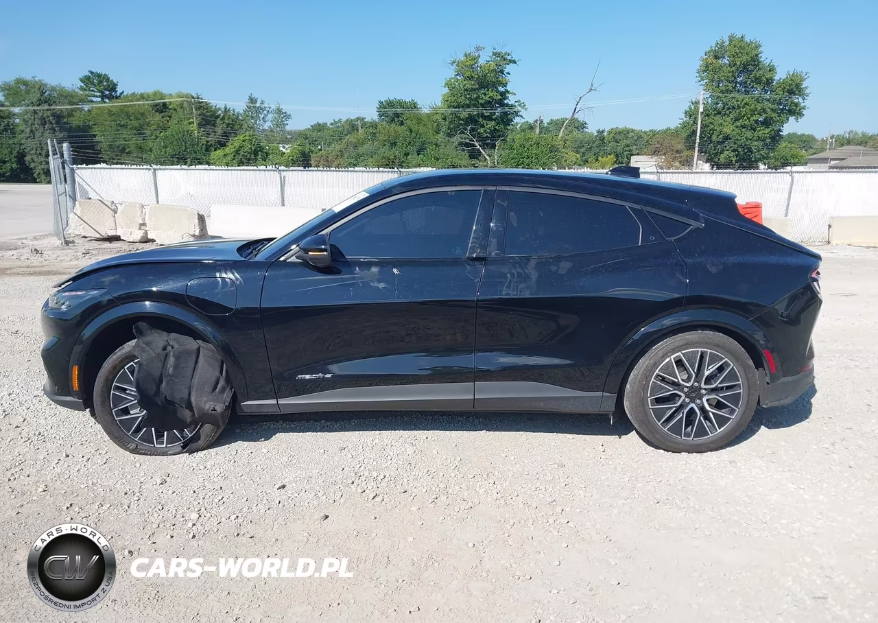 2025 Ford Mustang Mach-E Premium VIN:3FMTK3R70SMA10290 - 13